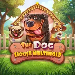 The Dog House Multihold game at PlayCroco Casino for Australian players
